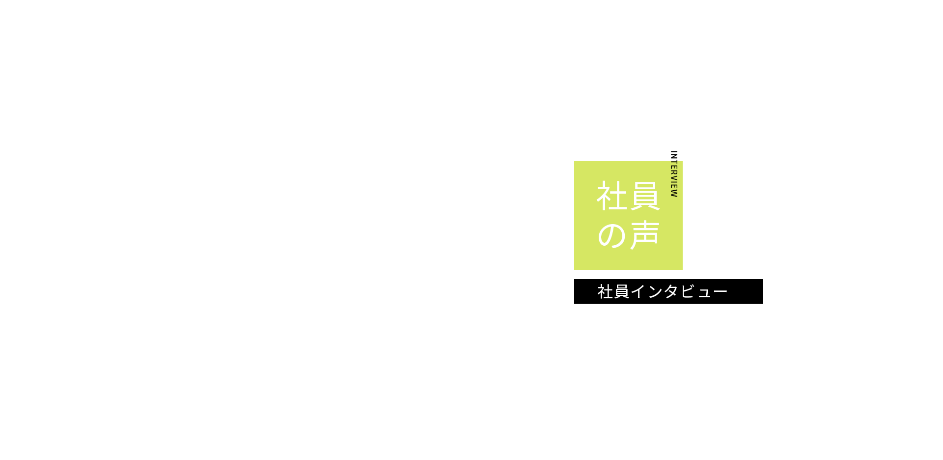 社員インタビュー